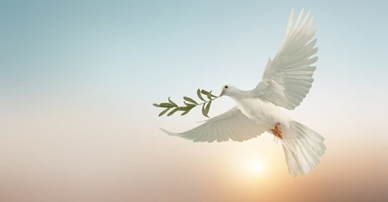 Paz mundial, Igreja e a urgência de desarmar o coração