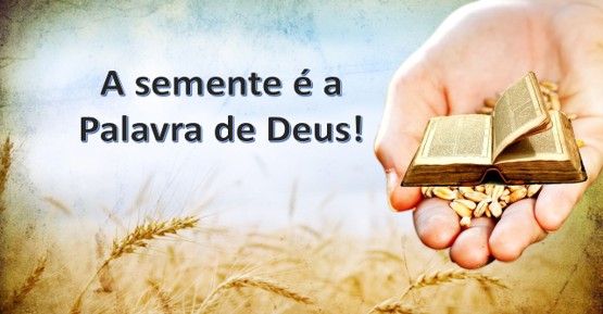 XV Domingo do Tempo Comum